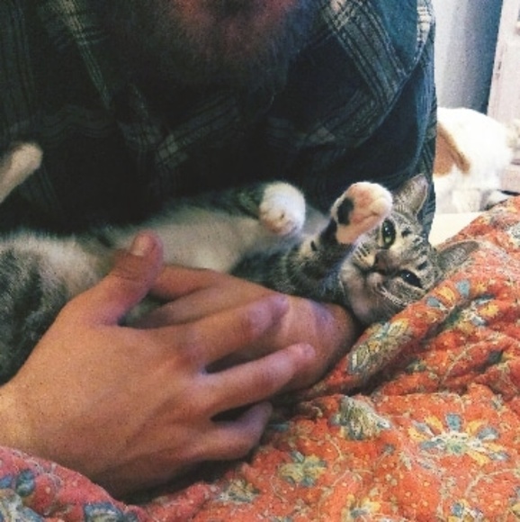 Meet your Posher, Meadow - Picture 2 of 5